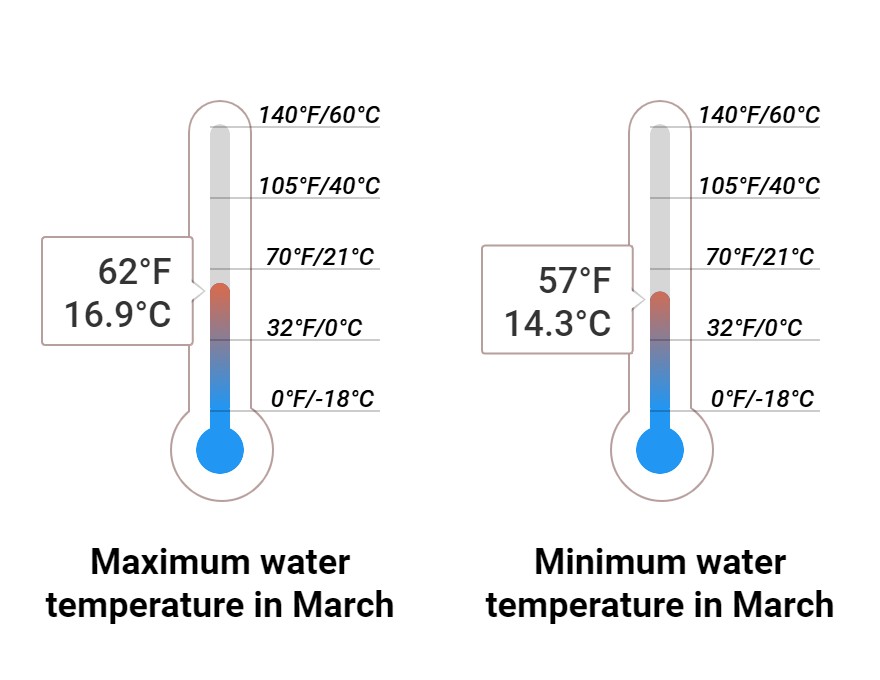 Average Sea temperature